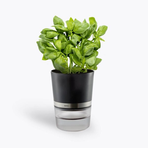 GEFU Krydderurtepotte BOTANICO