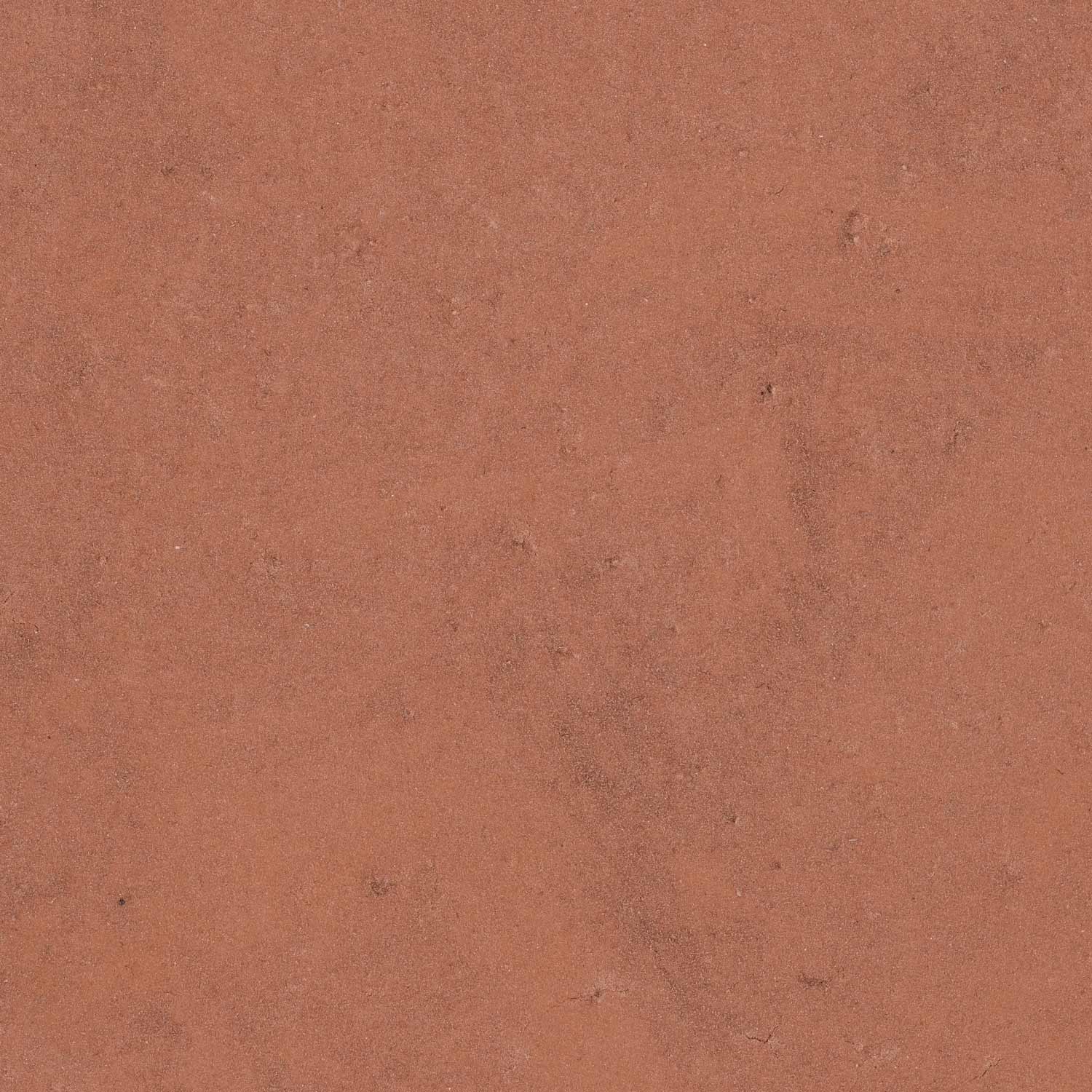 Biscotto sten - Effeuno P134H/HA - Billede 4